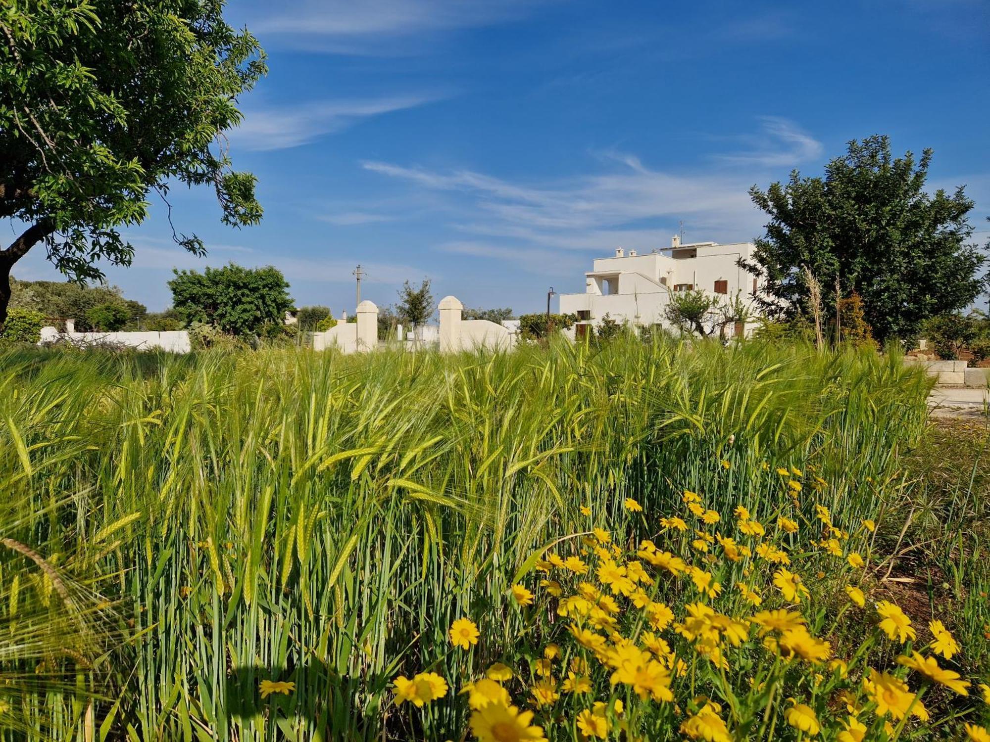 Residenza "I Tre Carrubi " Villa Fasano Exterior photo